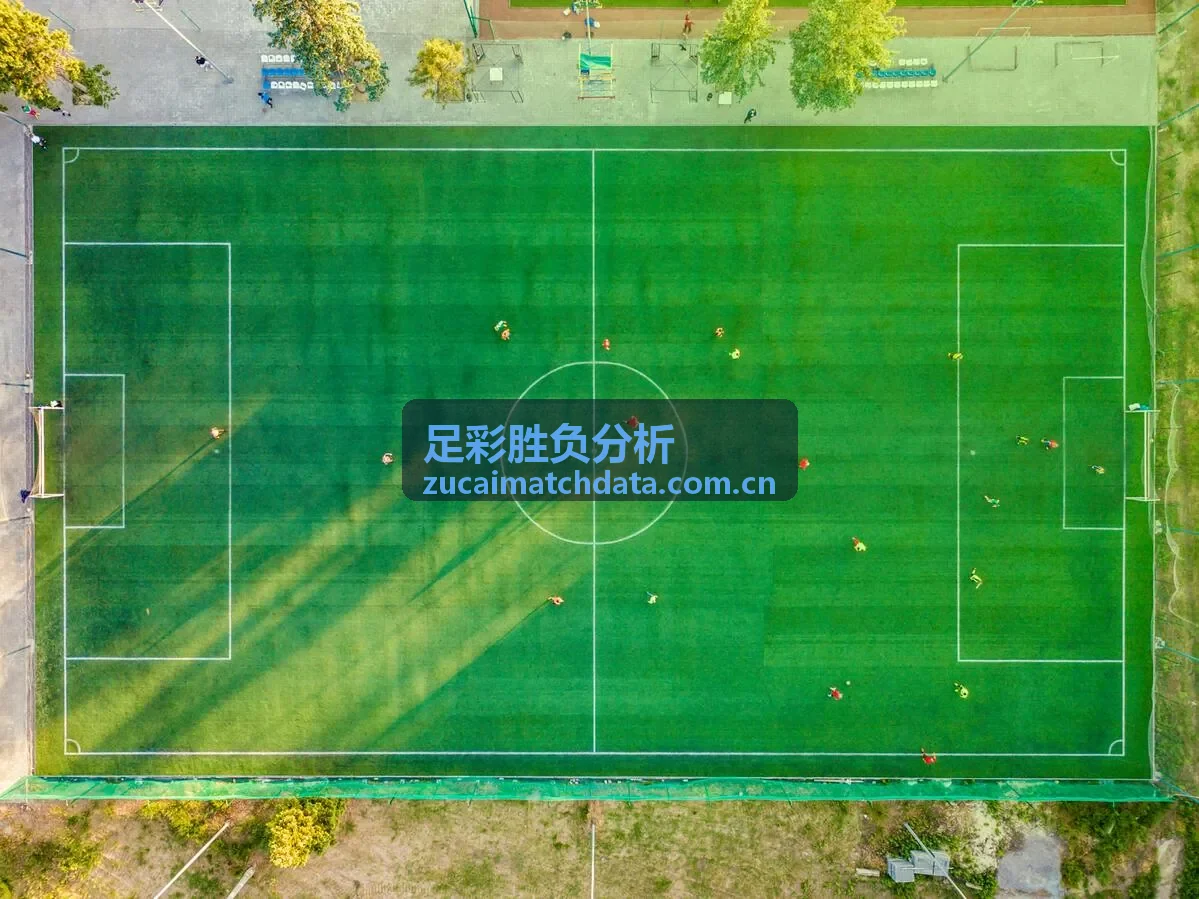 德甲让球盘赢盘率对比图
