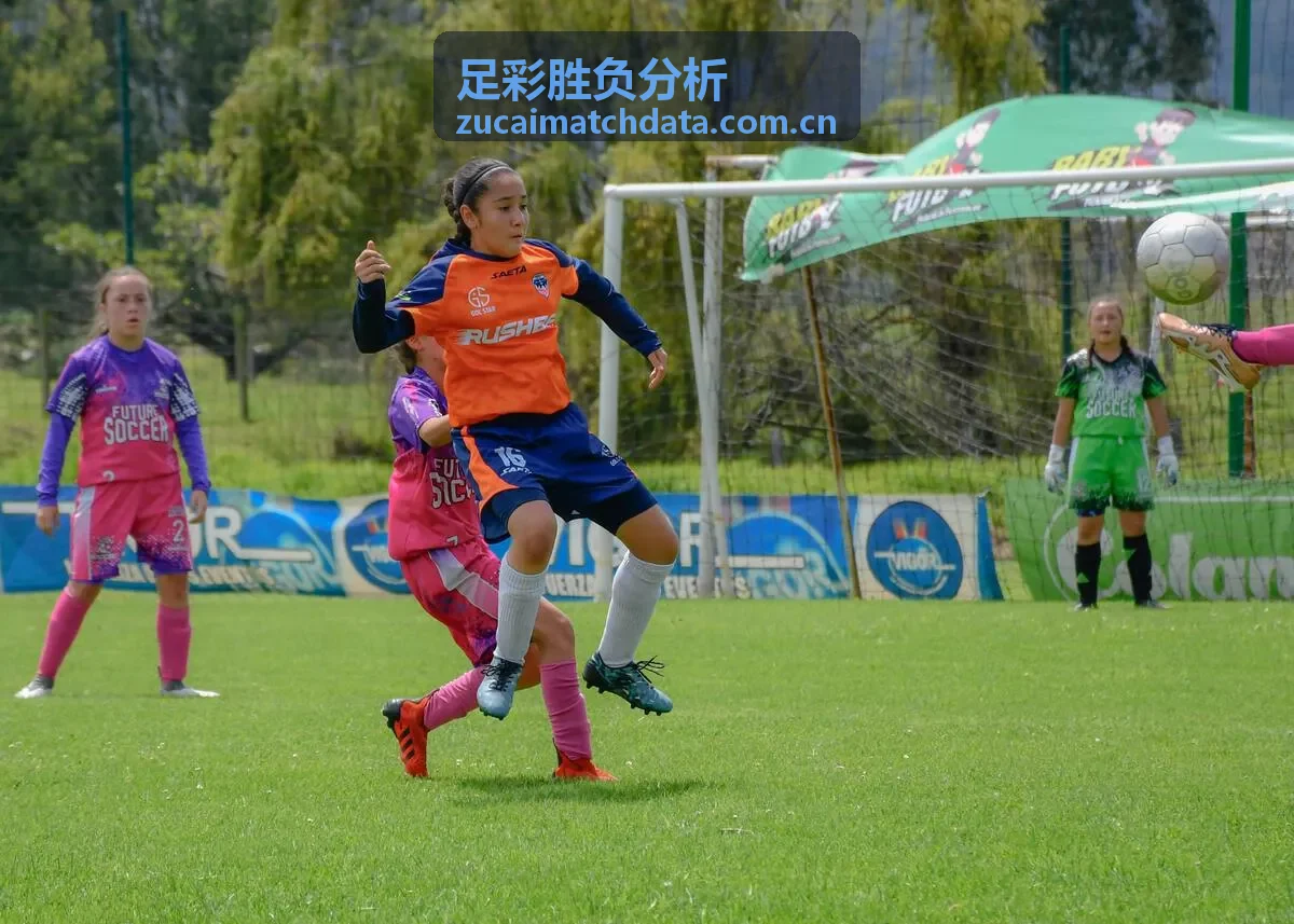 法甲联赛足彩胜负分析画册封面